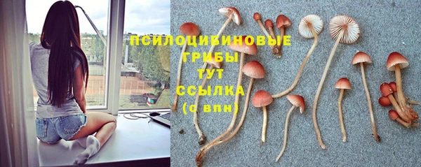 соль ск Абинск